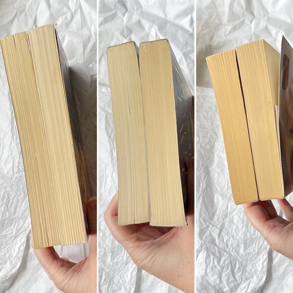 Beverly Lewis The Rose Trilogy Books 1&2 The Thorn & The Judgement - Picture 9 of 11